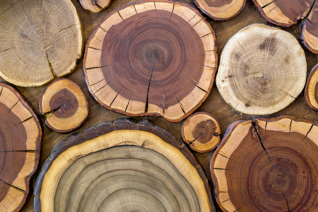 The Beauty of Wood Grains: A Guide to Understanding Different Types